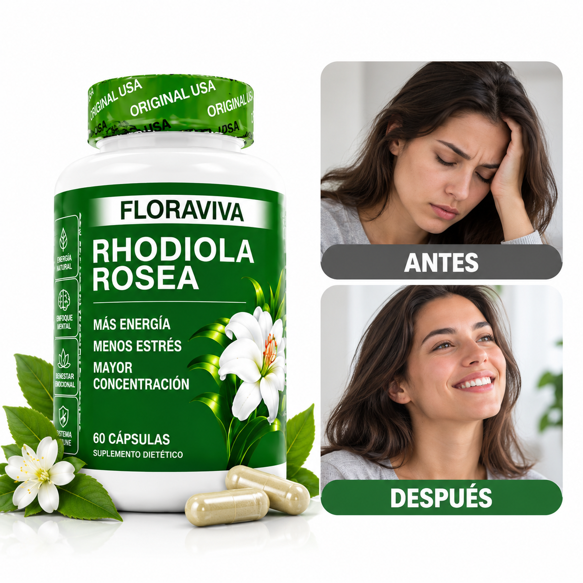 Rhodiola Rosea Floraviva – Energía, Menos Estrés y Mayor Concentración